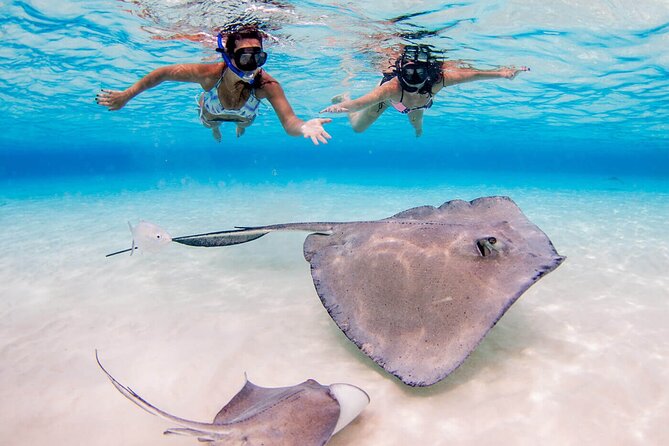 Grand Cayman Stingray City and Reef Snorkeling Combo Tour - Snorkeling at Barrier Reef or Coral Gardens