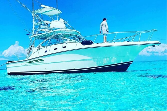 Half Day Luxury Private Fishing Charters in Cayman Islands - Meeting the stingrays at Stingray City