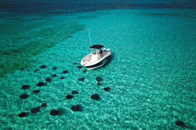 Half Day Private Boat Charter in Grand Cayman - Why a private charter makes sense in Grand Cayman