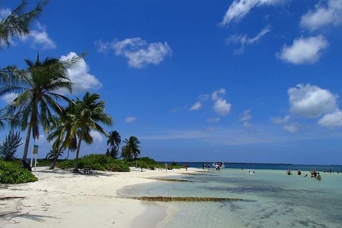 Half Day Private Boat Charter in Grand Cayman - Starfish Point and the gentler final stop