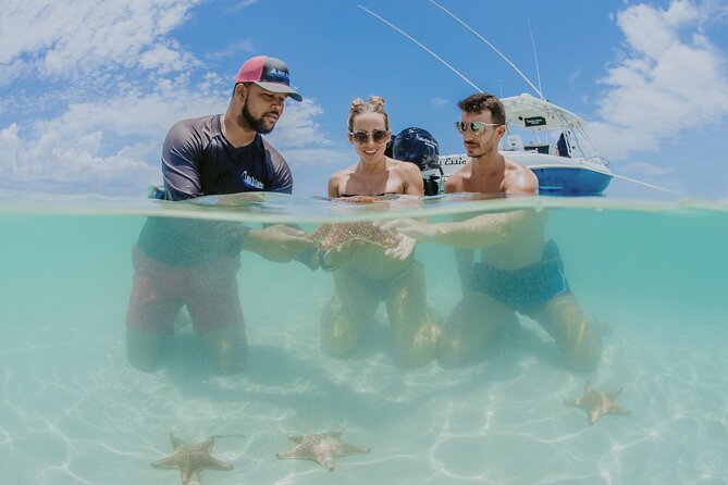 Half-Day Private Stingray City Charter - Grand Cayman - BTC - Starfish Point slows the pace