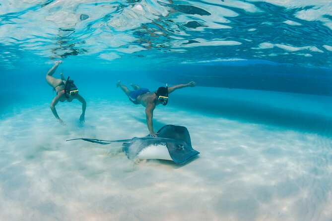 Half-Day Private Stingray City Charter - Grand Cayman - BTC - How the three-hour schedule works