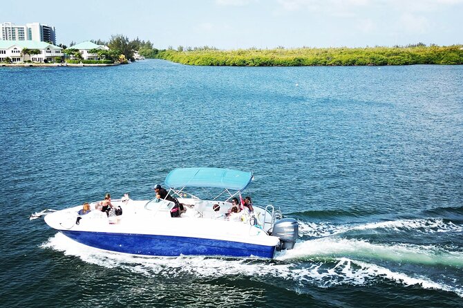 Half-Day Private Stingray City Charter in Cayman Islands - What the crew adds to the day