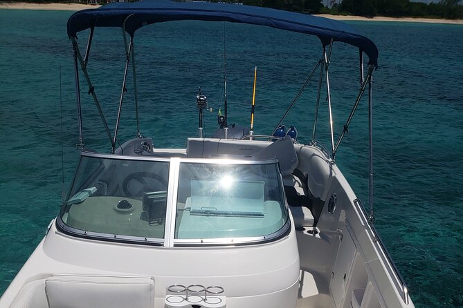 Half-Day Private Stingray City Charter in Cayman Islands - Meeting the stingrays at the North Sound sandbar