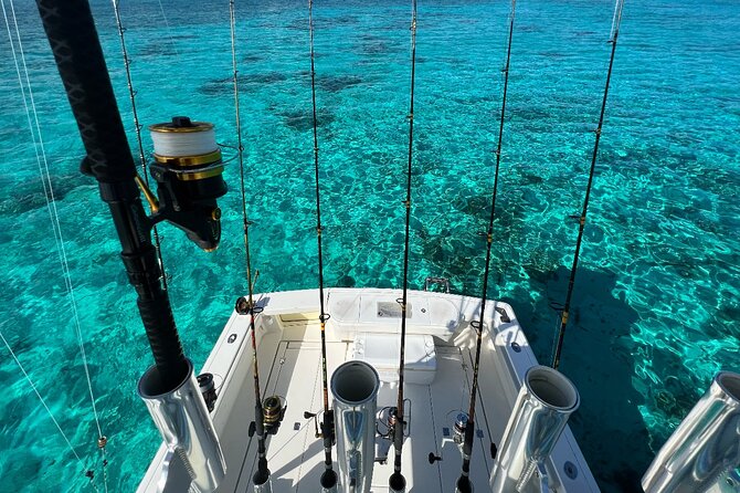 Luxury Private Fishing Charters - FULL DAY CHARTER - Booking, weather, and practical details