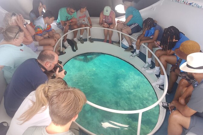 Oculus Glass Bottom Boat Tour - Cheeseburger Reef and its underwater sculptures