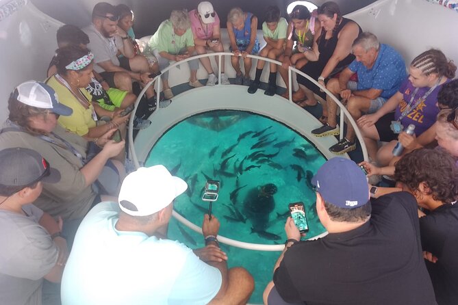 Oculus Glass Bottom Boat Tour - What you might see below the boat