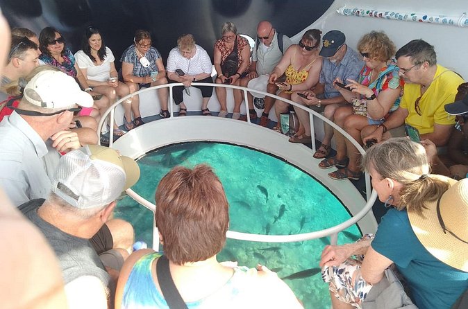 Oculus Glass Bottom Boat Tour - Staying dry or choosing the snorkeling option