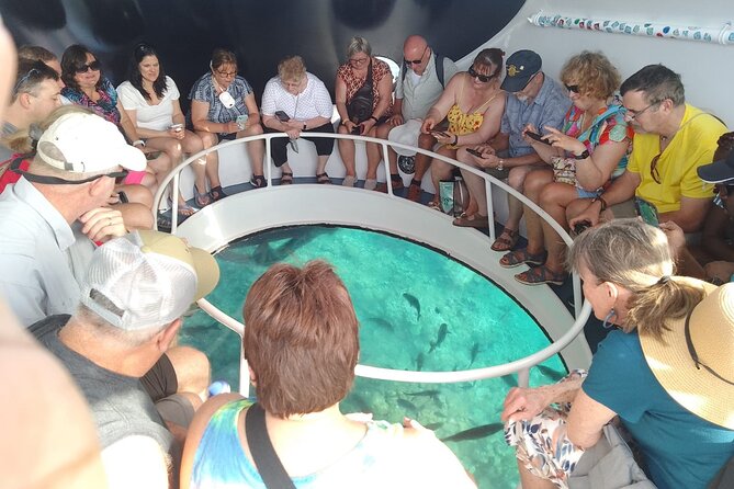 Oculus Glass Bottom Boat Tour - The crew, commentary, and group size