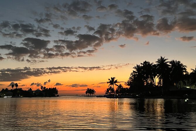 Private: Bioluminescence Tour - Blue light in a dark Grand Cayman bay
