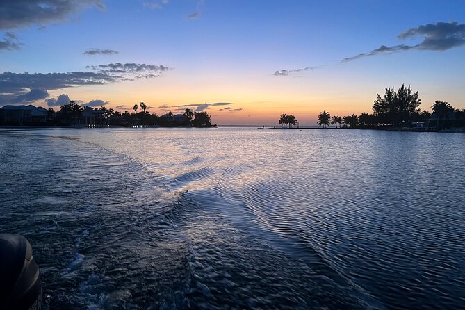Private: Bioluminescence Tour - What happens at Bioluminescent Bay
