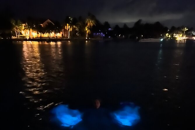 Private: Bioluminescence Tour - Why a private boat changes the outing