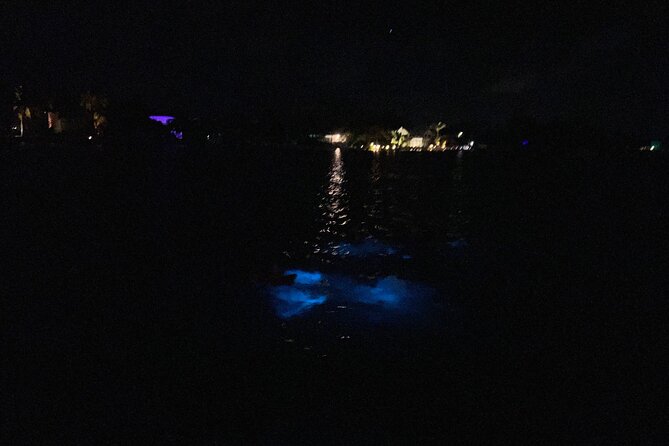 Private: Bioluminescence Tour - Captains who shape the experience