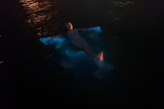 Private: Bioluminescence Tour - Moon phase, tides, and the best night to go