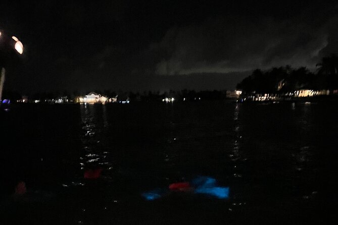Private: Bioluminescence Tour - What to bring for a smoother night