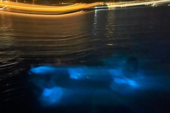 Private: Bioluminescence Tour - Is $599 good value?