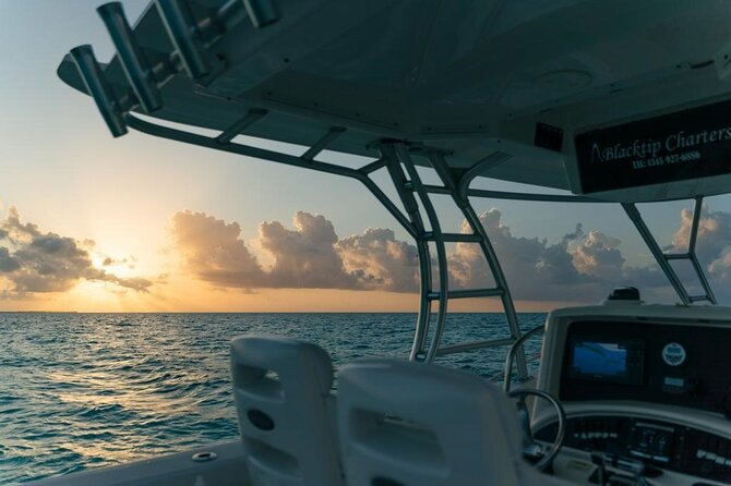 Private Bioluminescence Tour in Grand Cayman - Why Grand Cayman’s glowing bay is worth your evening