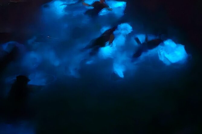 Private Bioluminescence Tour in Grand Cayman - A private boat is the biggest practical advantage