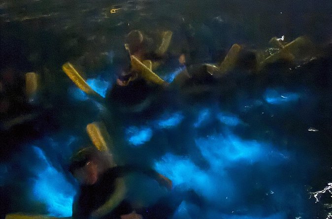 Private Bioluminescence Tour in Grand Cayman - The crew’s role in making the evening work
