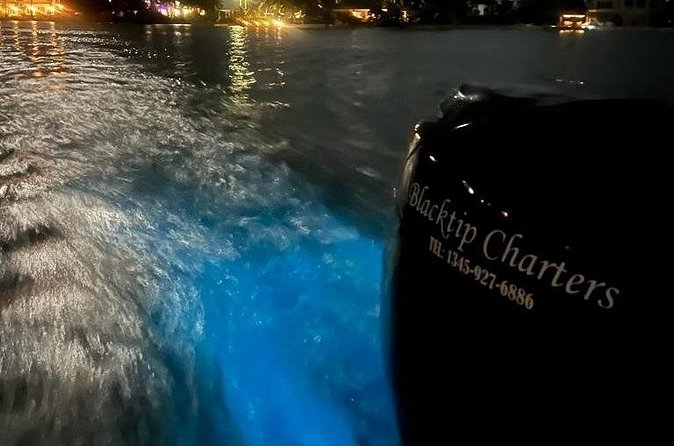 Private Bioluminescence Tour in Grand Cayman - Who will enjoy this Grand Cayman experience most