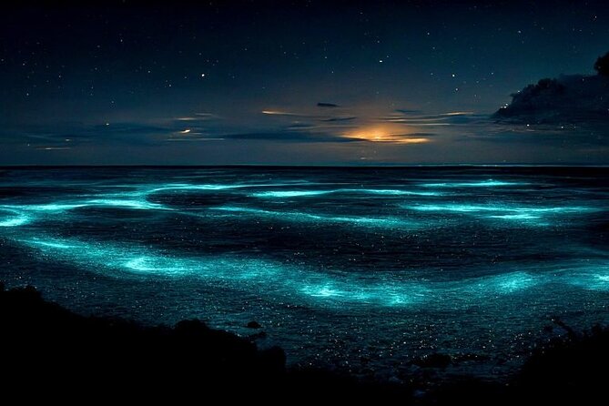 Private Bioluminescent Bay Tour - Key points before you book