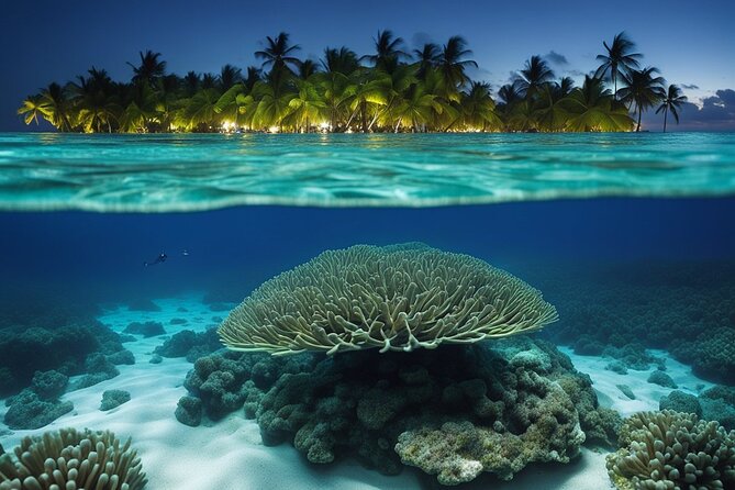 Private Bioluminescent Bay Tour - Two hours of making your own light