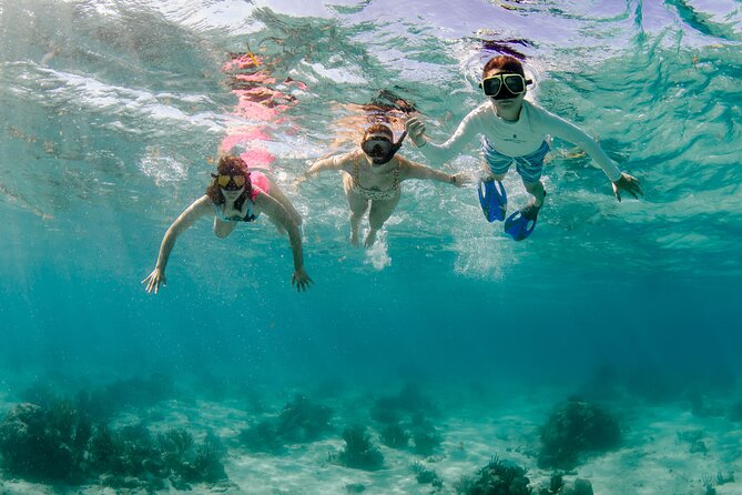 Private boat charter in Grand Cayman - Stingray City: the main event for many groups