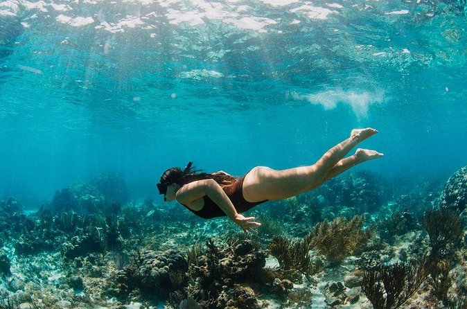 Private Boat Charter Snorkeling Stingray City or Bio Bay - Boat comforts and what to bring