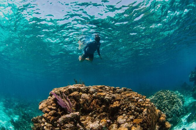Private Boat Charter Snorkeling Stingray City or Bio Bay - Is $600 a good value for seven people?