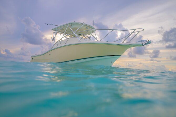 Private Boat Tours: Customize Your Grand Cayman Adventure! - Starfish Point: peaceful, pretty, and brief