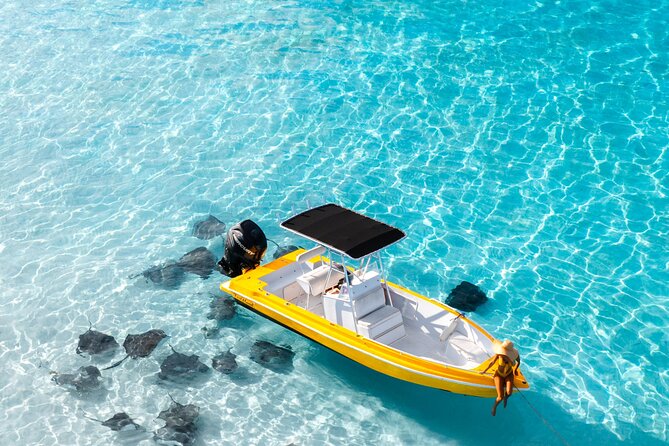 Private Boat Tours: Customize Your Grand Cayman Adventure! - Snorkeling the reefs around Grand Cayman