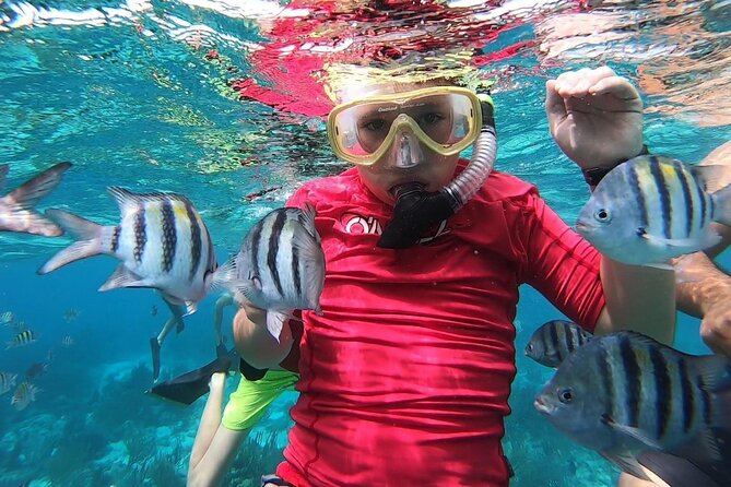 Private Charter 28ft Grady White. Stingrays, Snorkeling, Starfish - Snorkeling the coral reef