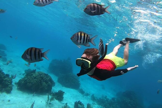 Private Charter 34ft Express Cruiser Stingay City Reef Snorkeling - Fishing for barracuda as an optional extra