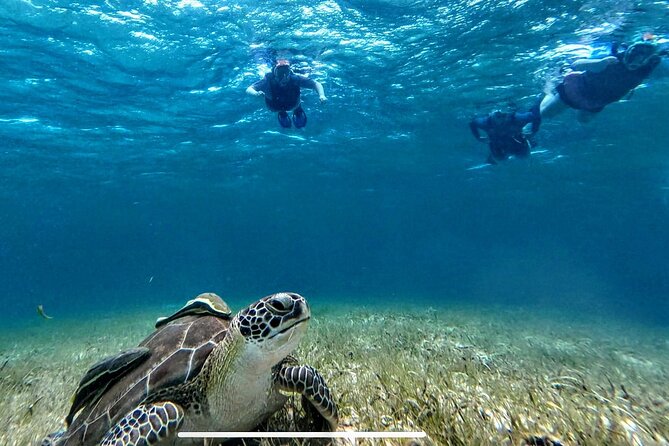 Private Charter 34ft Express Cruiser Stingay City Reef Snorkeling - The crew makes the flexible schedule work