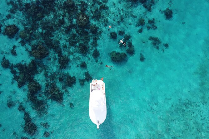 Private Charter 34ft Express Cruiser Stingay City Reef Snorkeling - Is $1,000 a good value for your group?