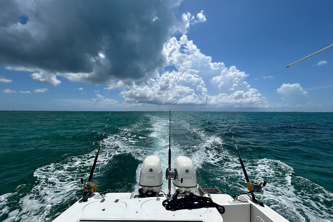 Private Charter Reef fishing, Stingray City, Snorkel, Mangroves - Snorkeling between the fishing and beach stops