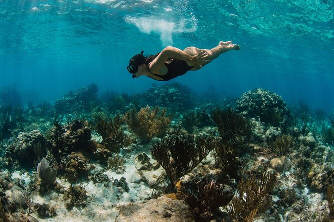 Private Charter Reef fishing, Stingray City, Snorkel, Mangroves - What the $900 private price really buys