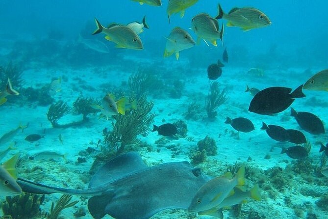 Private Full Day Charter - Stingray City, Starfish Point, Kaibo & Snorkeling - A private charter with room to set the pace