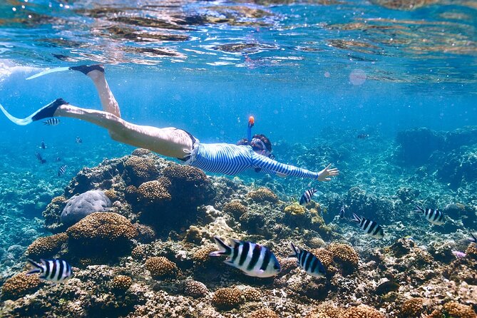 Private Half Day Boat Tour, 3 locations of your choice - Key points to know