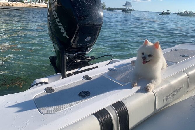 Private Half Day Boat Tour, 3 locations of your choice - Offshore snorkeling among coral heads