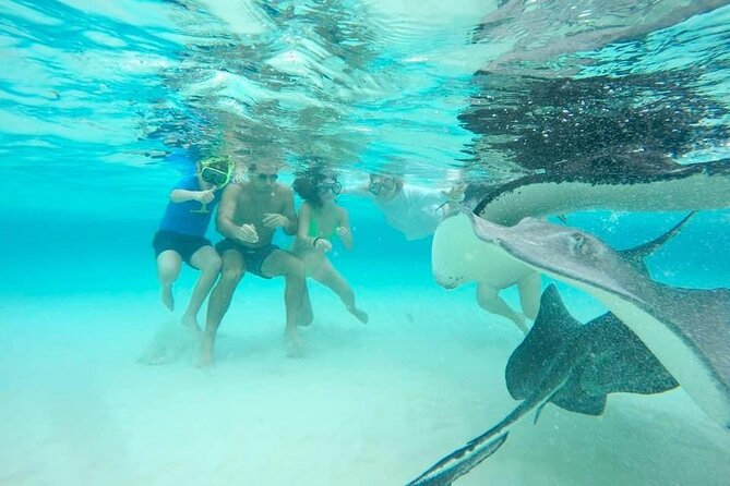 Private Half Day Boat Tour, 3 locations of your choice - Weather, cancellations, and booking caution