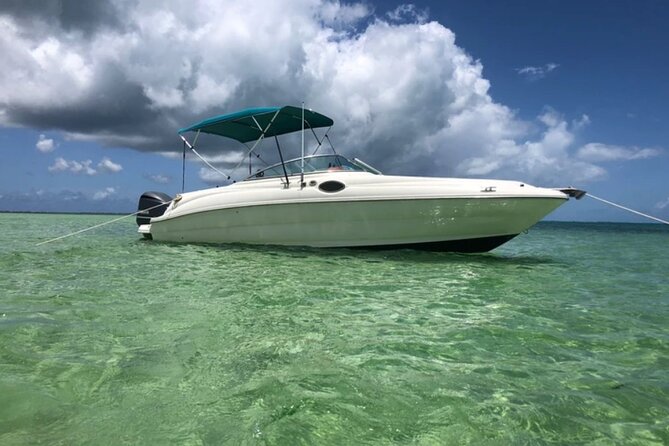 Private Half-Day Charter to Stingray City, Starfish Point and Snorkeling Tour - Setting out from Cayman Islands Yacht Club
