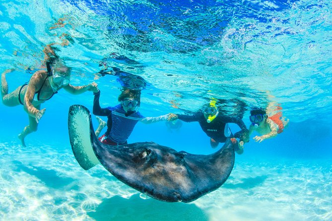 Private Stingray City Snorkeling and BioBay Charter for 10 Guests - Starfish Point: a gentle first stop
