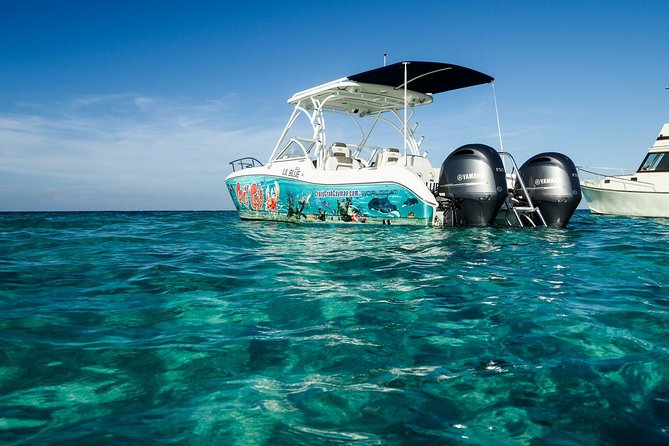 Private Stingray City Snorkeling and BioBay Charter for 10 Guests - Reef snorkeling and time aboard the private boat