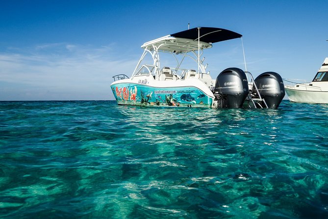 Private Stingray City Snorkeling and BioBay Charter for 6 Guests - Who gets the best value from $2,000