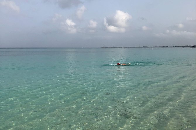 Private Swim Lesson or Triathlon Training on Seven Mile Beach! - Why private coaching changes the value
