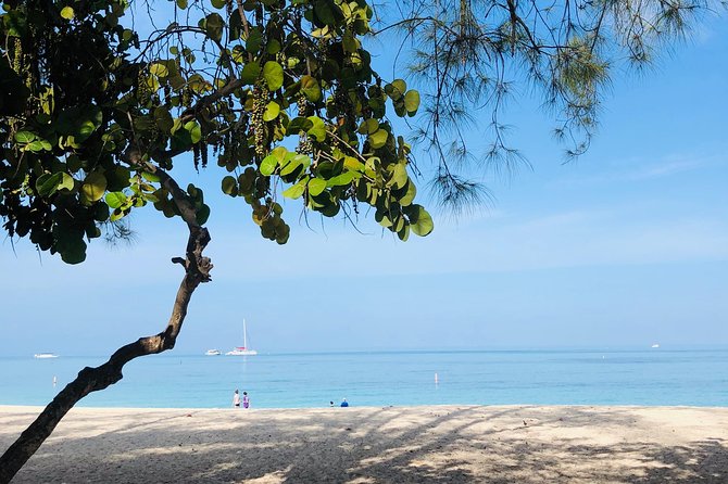 Private Swim Lesson or Triathlon Training on Seven Mile Beach! - What the strongest coaching feedback tells you