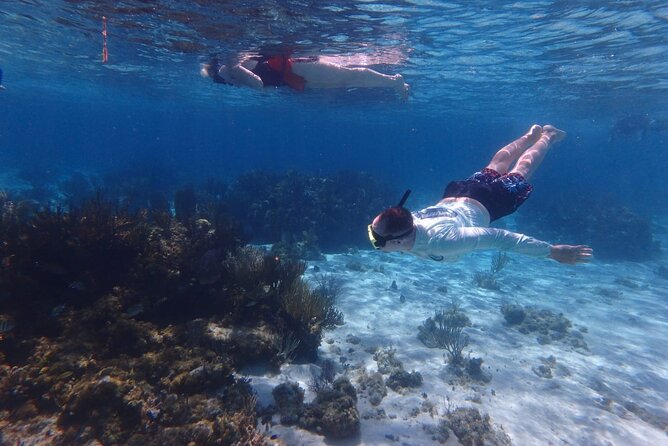 Private Tour to Stingray City & Snorkeling at Coral Gardens - A private way to experience Grand Cayman’s famous sandbar
