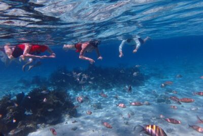 Private Tour to Stingray City & Snorkeling at Coral Gardens