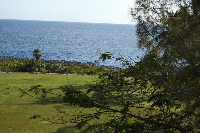 Queen Elizabeth II Botanic Park and Pedro St James Castle Tour in Grand Cayman - Transport, timing, and the cruise-port reality
